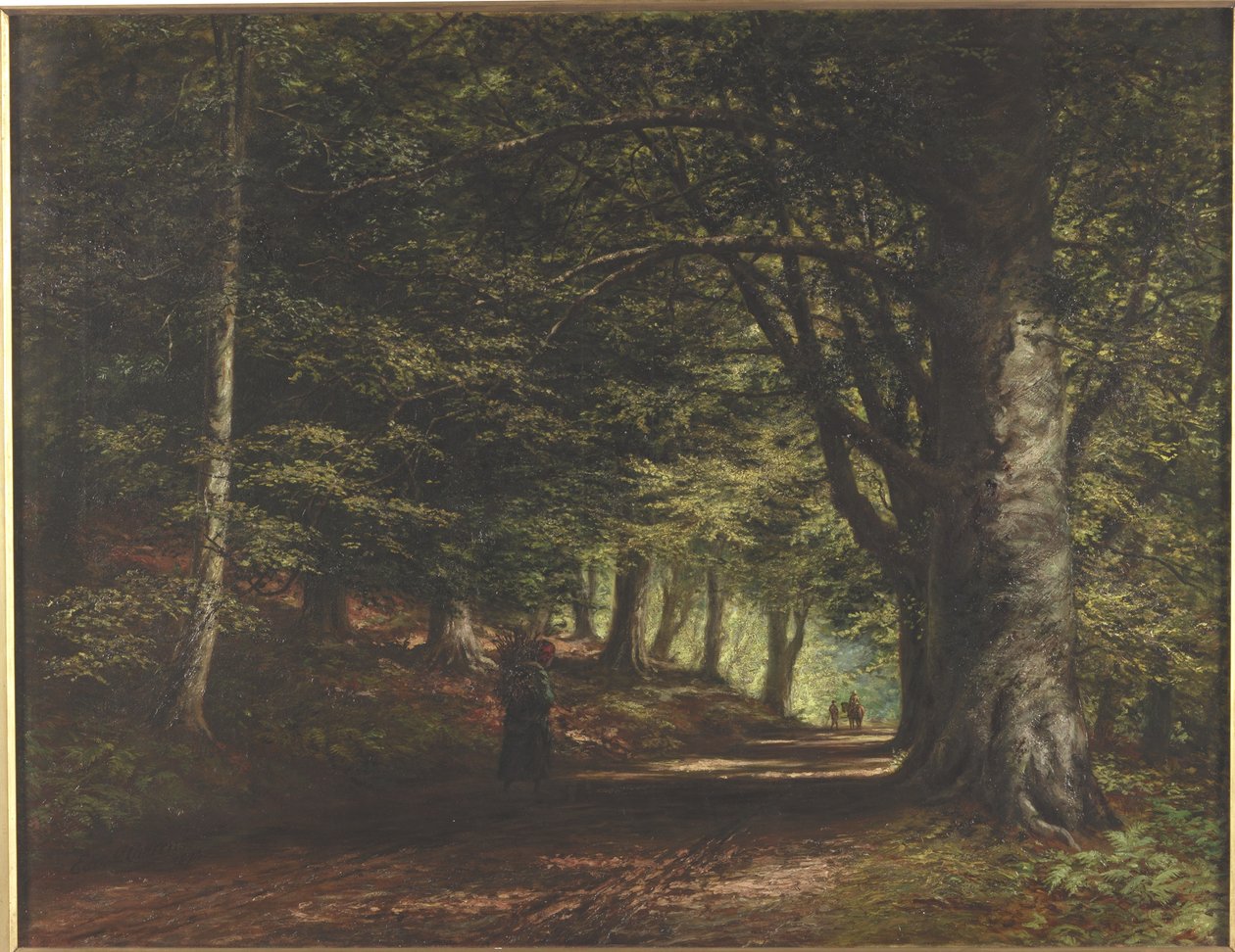 Aleja Bukowa, Inverary, 1876 autorstwa Edward Railton Catterns
