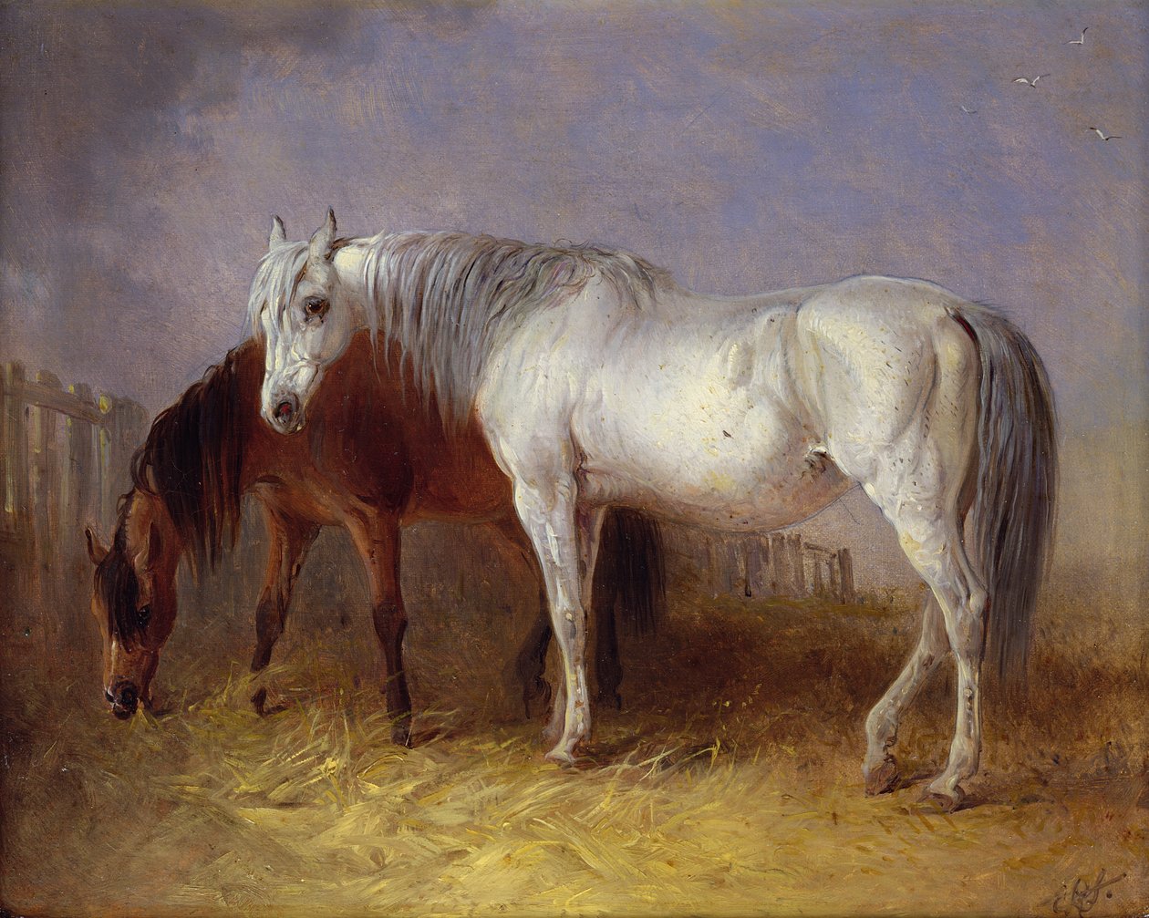 Konie siwe i kasztanowe autorstwa Edward Robert Smythe