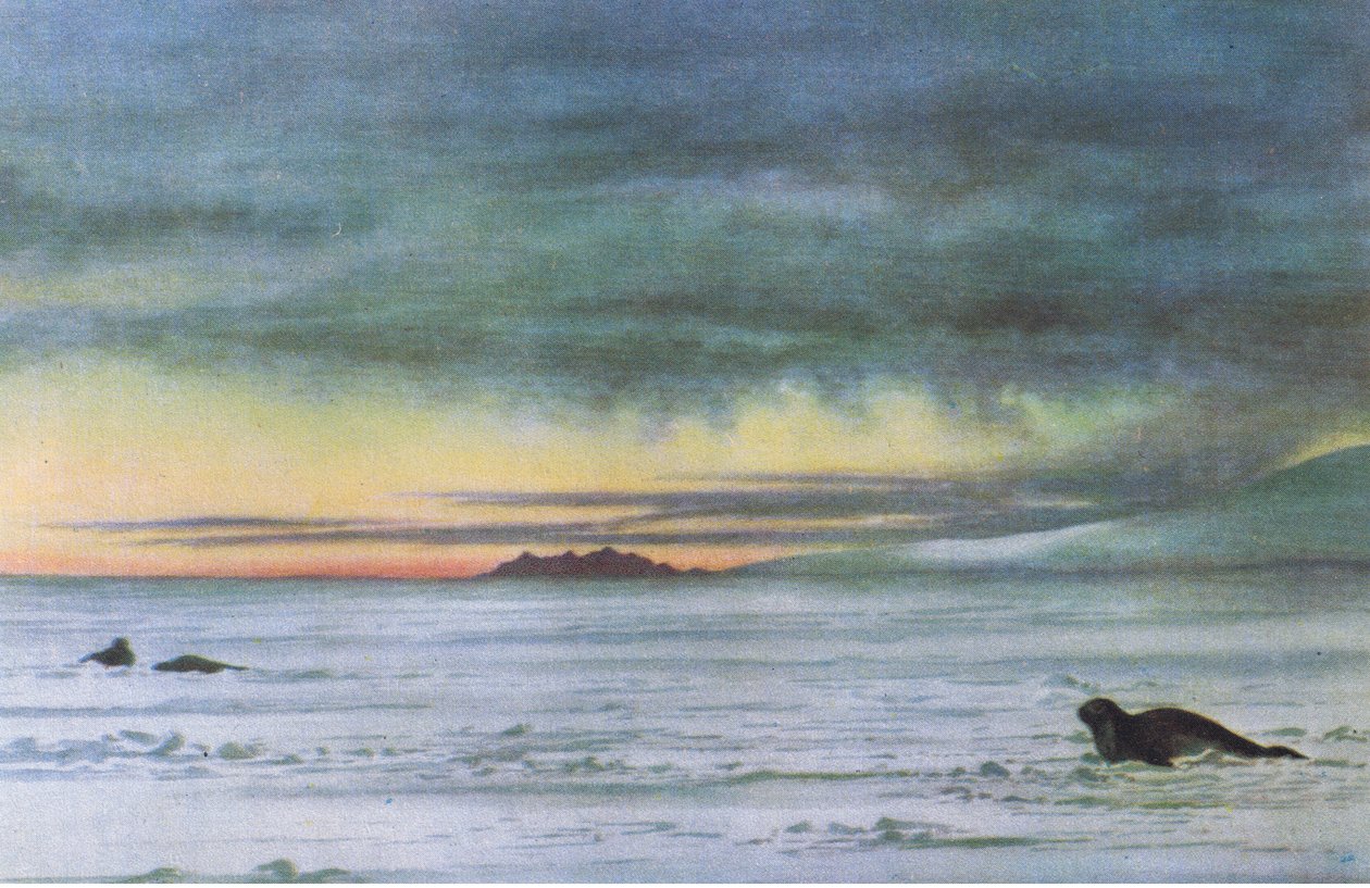 Patrząc na północ w McMurdo Sound, z British Adventure wydanego przez Collins, 1947 autorstwa Edward Adrian Wilson