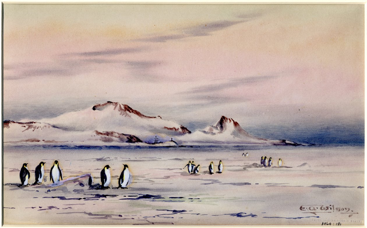 The Discovery Winter Quarters, c.1901-04 (wc na papierze) autorstwa Edward Adrian Wilson