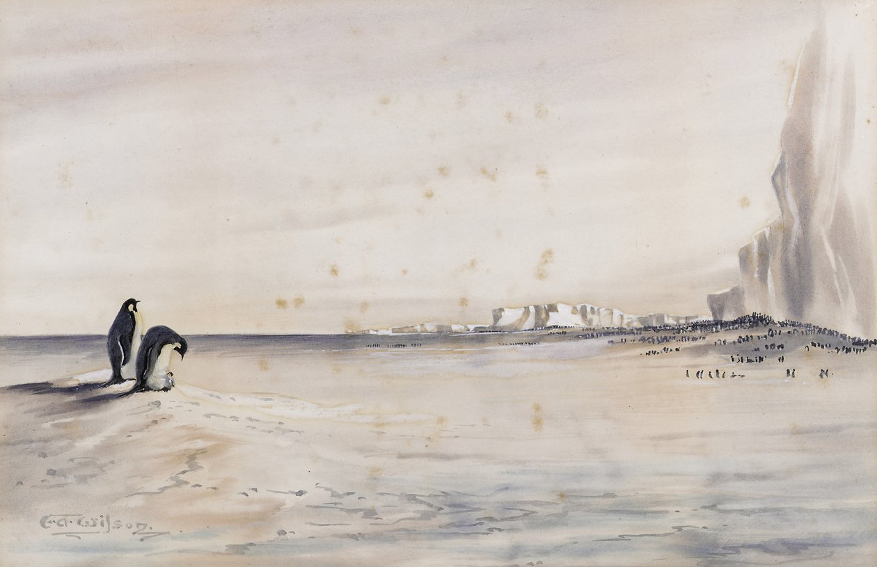 Pingwin cesarski Rookery, Cape Crozier autorstwa Edward Adrian Wilson