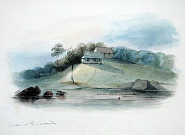 Stacja na Essiquibo, Gujana Brytyjska, ok. 1840 (akwarela na papierze) autorstwa Edward Angelo Goodall