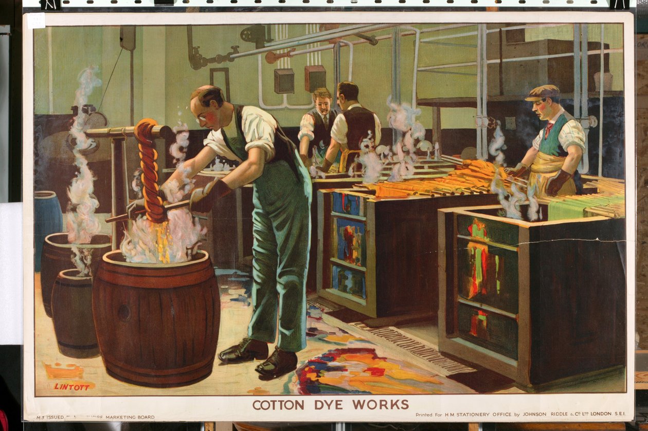 Cotton Dye Works, z serii „Empire Trade is Growing” (litografia kolorowa) autorstwa Edward Barnard Lintott