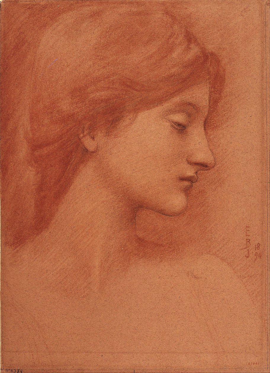 Studium kobiecej głowy autorstwa Edward Burne-Jones
