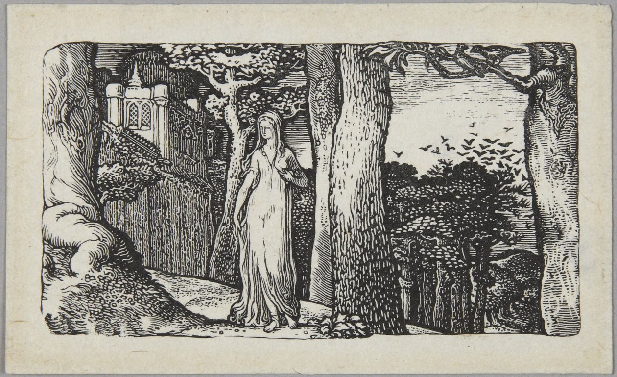 Dama z gawronami autorstwa Edward Calvert