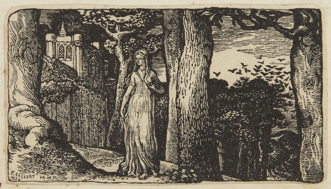Dama z gawronami autorstwa Edward Calvert