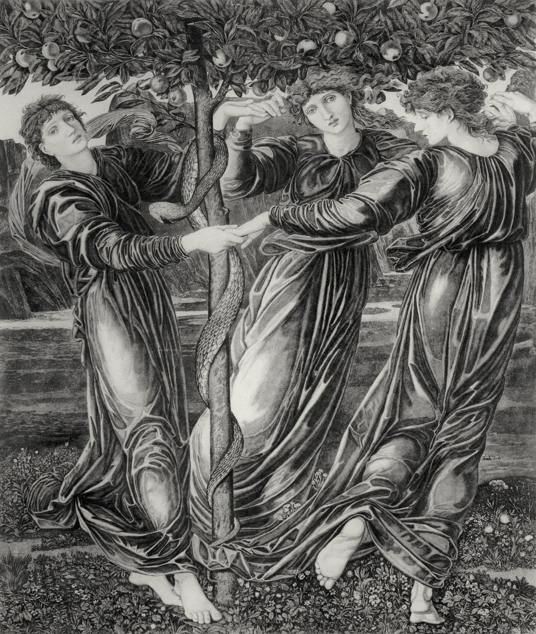 Ogród Hesperyd autorstwa Edward Coley (after) Burne Jones