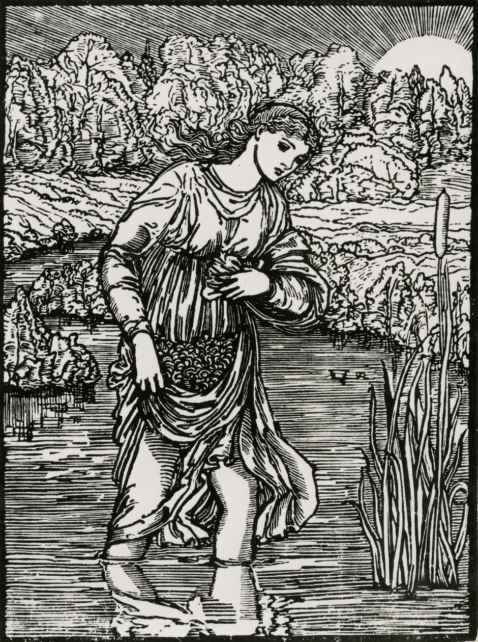 Zadanie trzcin autorstwa Edward Coley (after) Burne Jones