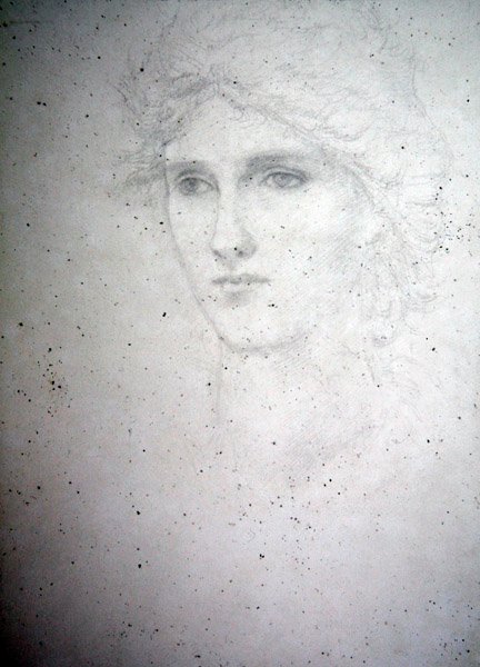 Studium głowy - Bessie Keane, ok. 1898 (ołówek na papierze) autorstwa Edward Coley Burne Jones