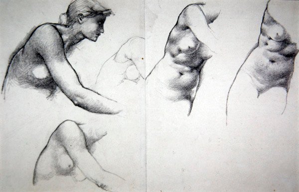 Drzewo przebaczenia - Studium do postaci Phyllis, ok. 1882 (ołówek na papierze) autorstwa Edward Coley Burne Jones