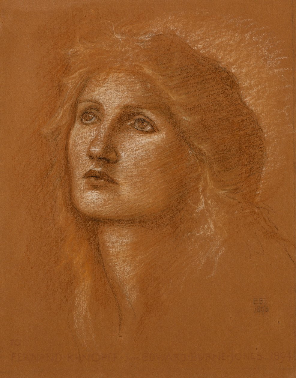 Głowa kobiety, 1890 autorstwa Edward Burne Jones