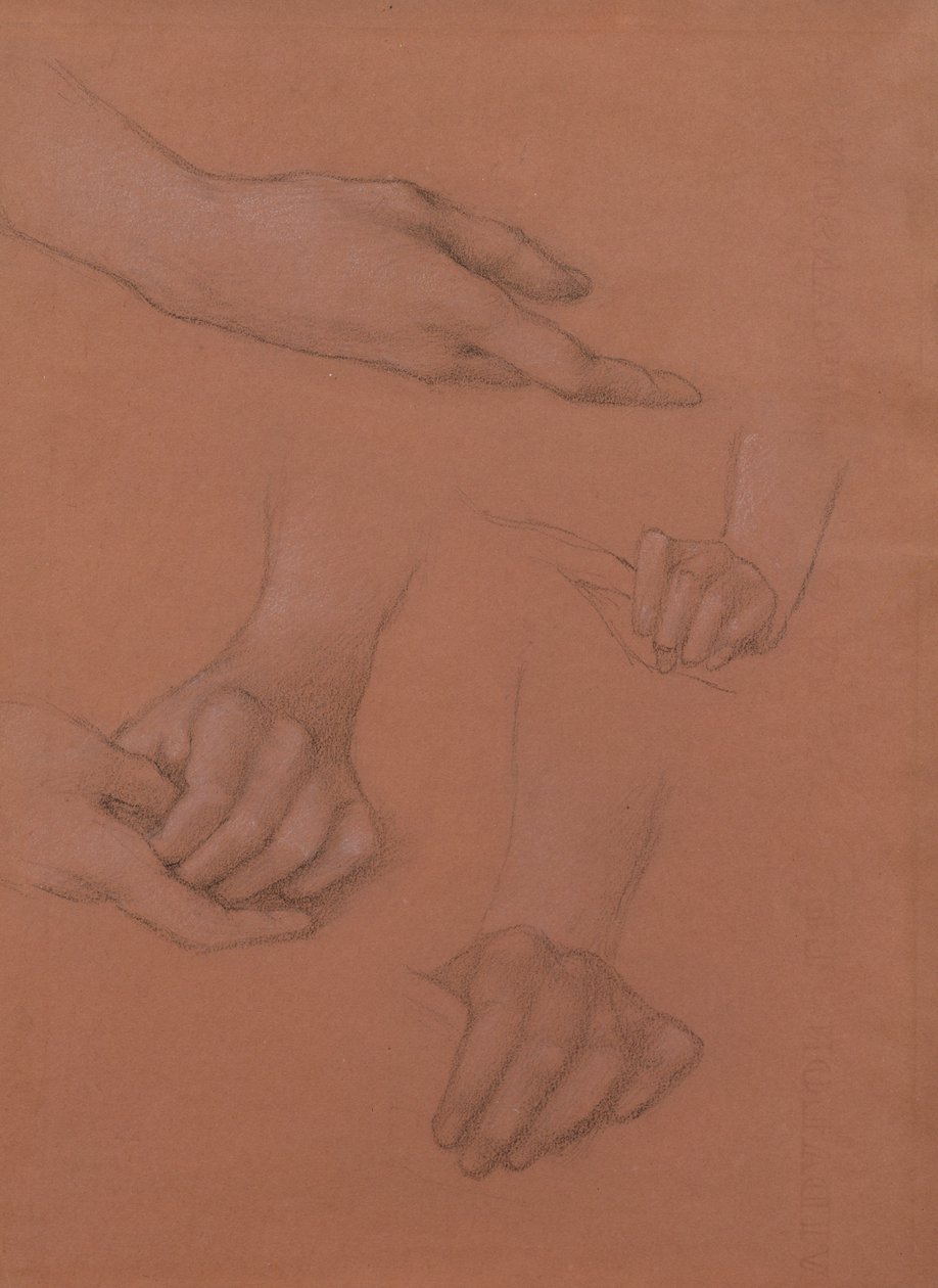 Studia rąk do portretu Mary Gaskell (czarno-biała kreda na papierze) autorstwa Edward Burne Jones