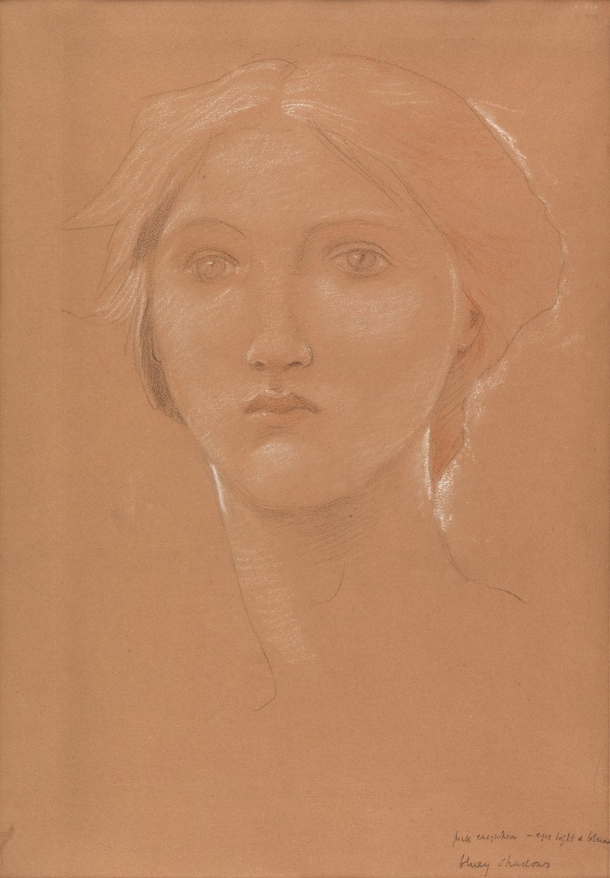 Studium głowy Margaret Burne-Jones do „Króla Cophetua i żebraczki” (kreda na papierze) autorstwa Edward Coley Burne Jones