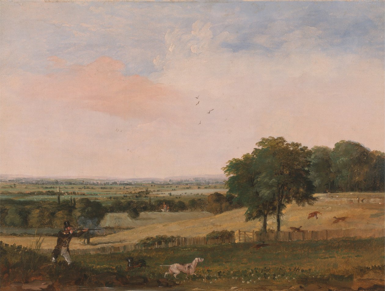 Strzelanie do kuropatw autorstwa Edward Duncan