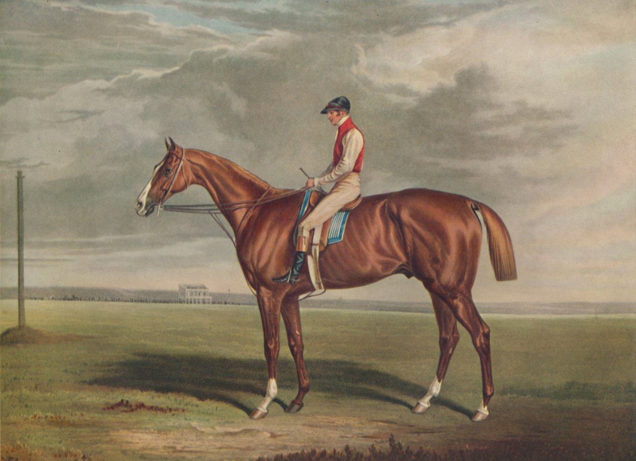 „Velocyped, zwycięzca St. Leger, 1828”, c1828, 1929 autorstwa Edward Duncan