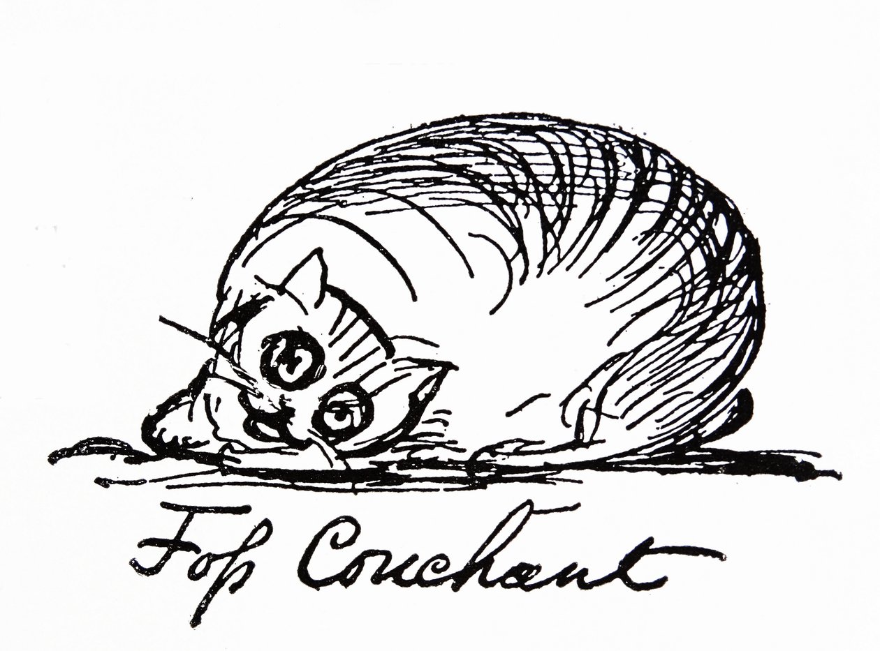 Postać kota (rysunek) autorstwa Edward Lear