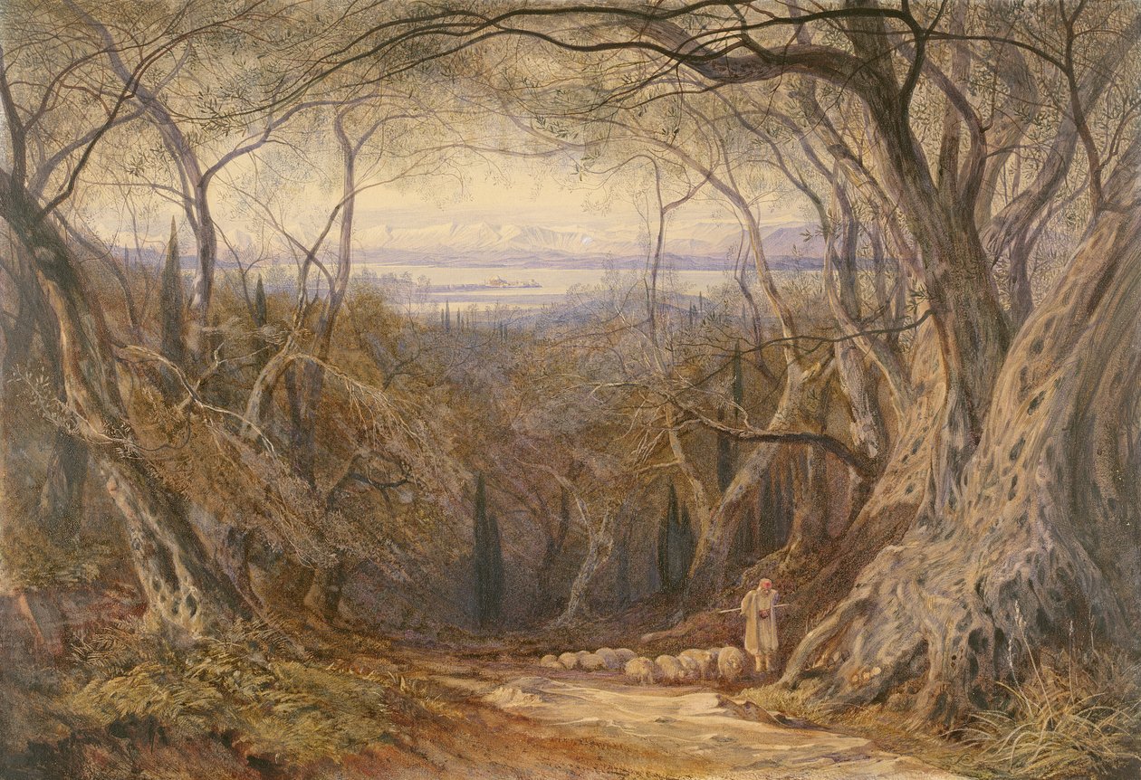 Korfu autorstwa Edward Lear