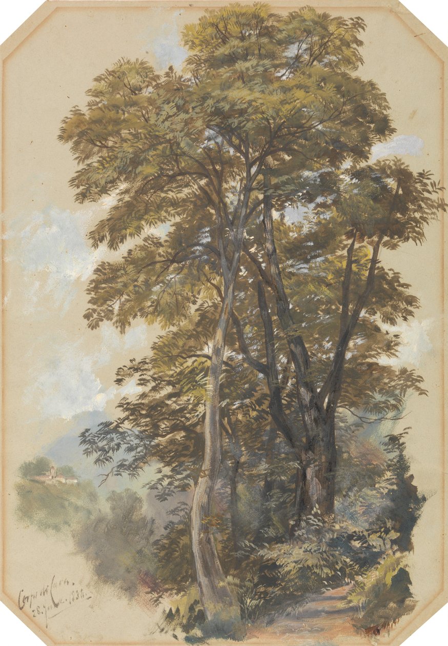 Corpo di Cava, 28 czerwca 1838 r. autorstwa Edward Lear