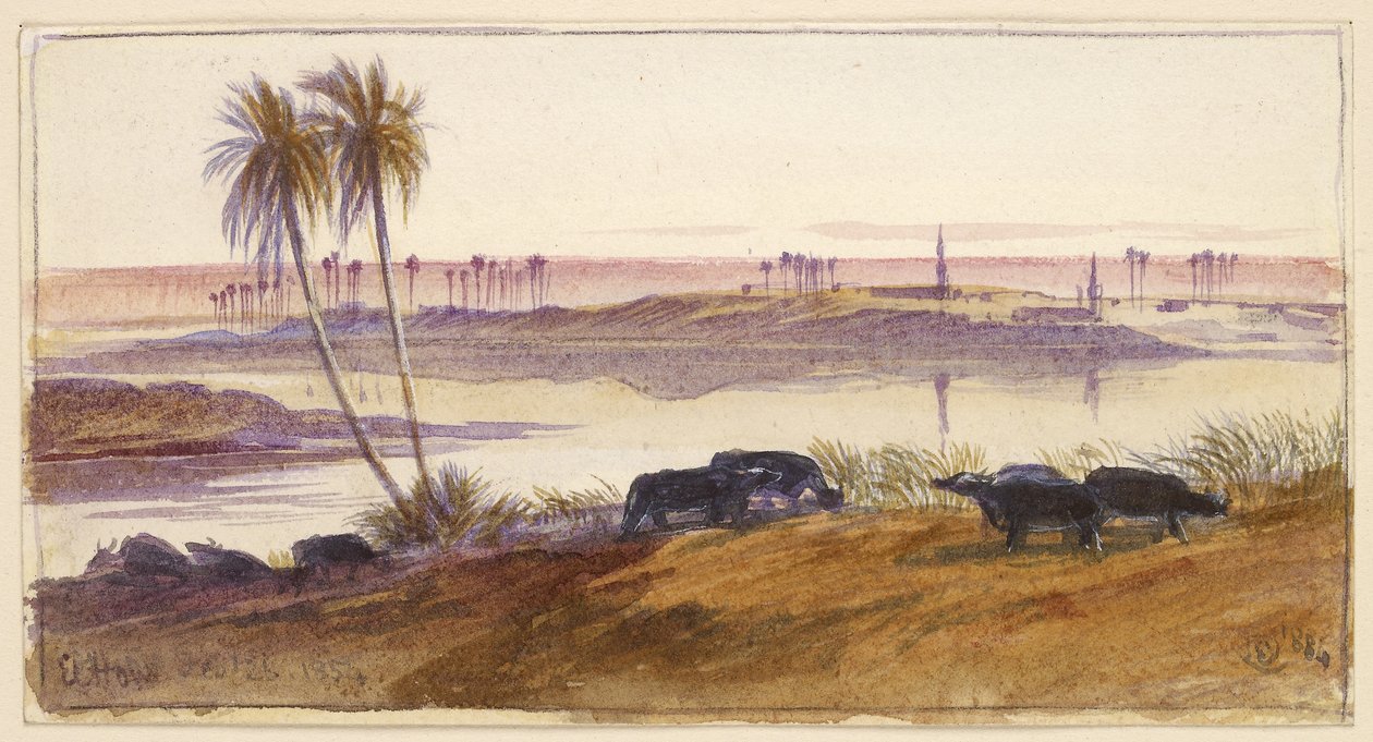 El Hon, Egipt, 1884 (akwarela i pióro i tusz z farbą do ciała) autorstwa Edward Lear