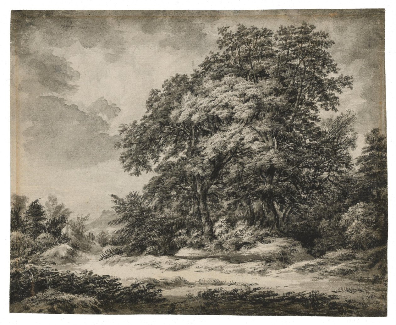 Krajobraz leśny autorstwa Edward Lear