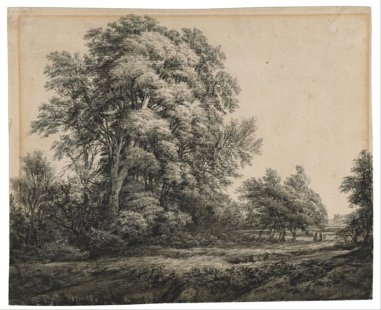 Krajobraz leśny autorstwa Edward Lear