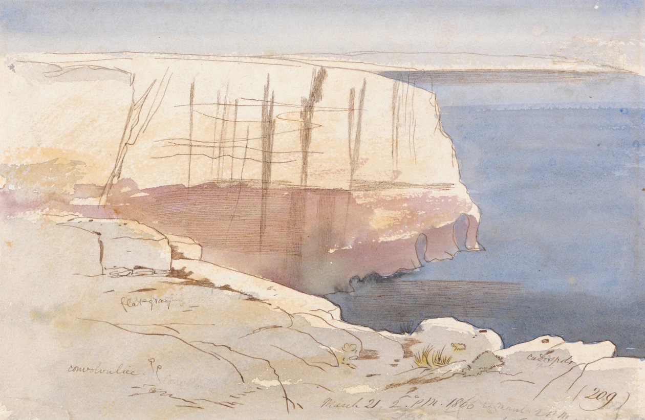 Gozo, w pobliżu Malty autorstwa Edward Lear