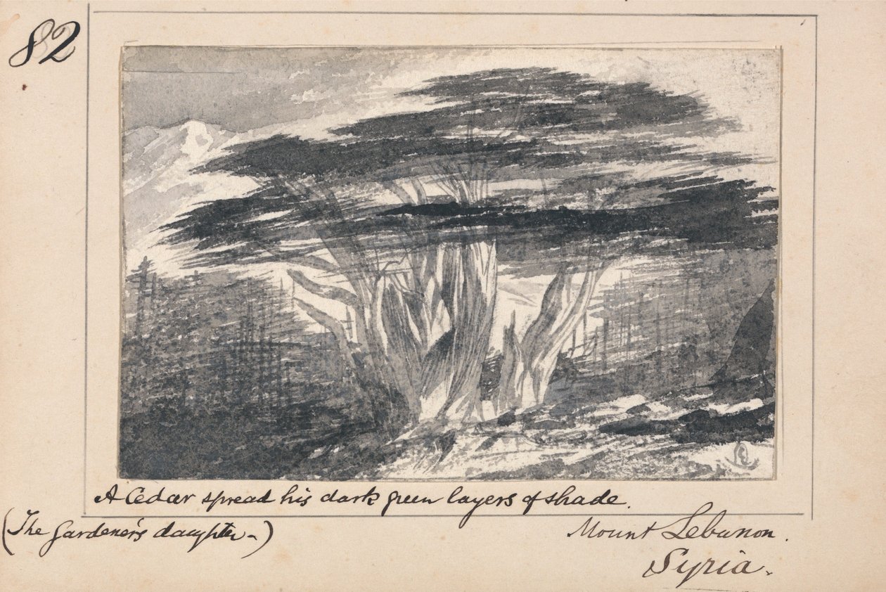 Ilustracja do wiersza Tennysona „Córka ogrodnika”: Góra Liban, Syria – „Cedr rozpostarł swoje ciemnozielone warstwy cienia” autorstwa Edward Lear