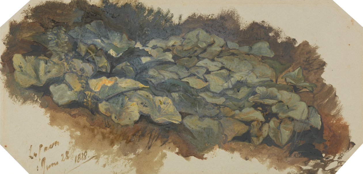 La Cava autorstwa Edward Lear