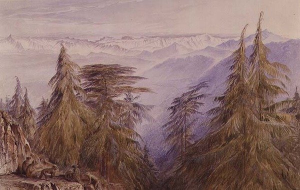 Małpy na turniach w pobliżu Simli w północnych Indiach autorstwa Edward Lear