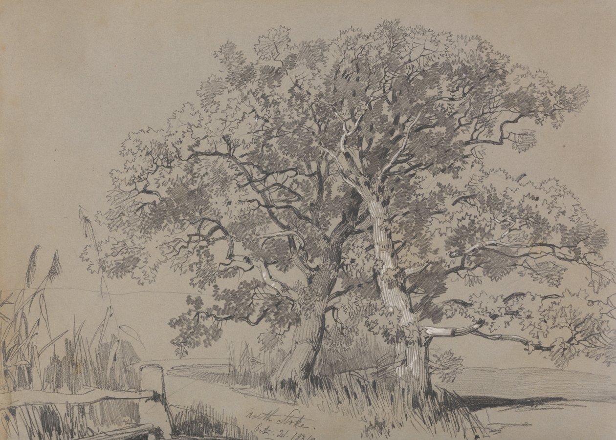North Stoke. 21 października 1834 r. autorstwa Edward Lear