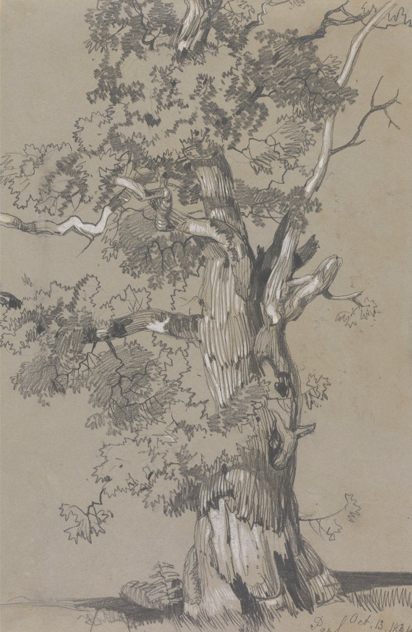 Parham, 13 października 1834 autorstwa Edward Lear