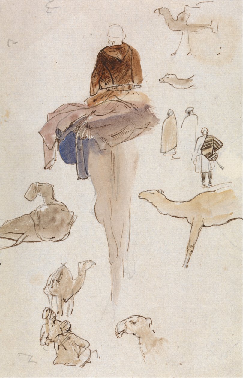 Badania nad wielbłądami autorstwa Edward Lear