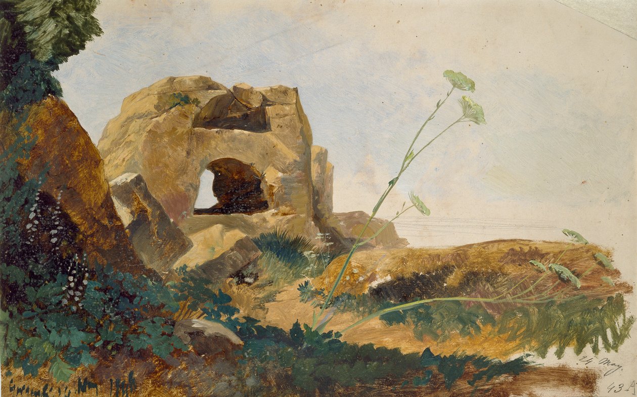 Studium skał i listowia, Agrigento Girgenti, Sycylia, 1847 autorstwa Edward Lear