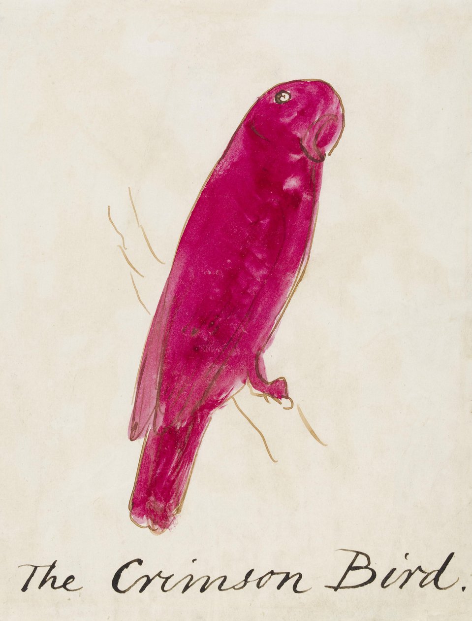Karmazynowy ptak, z Szesnastu rysunków komiksowych ptaków (pióro i tusz, wc na papierze) autorstwa Edward Lear
