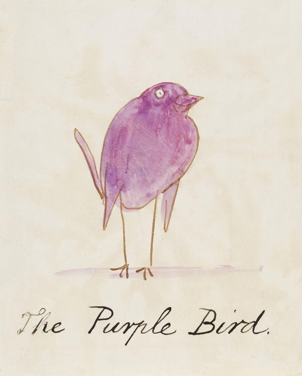 Purpurowy ptak, z „szesnastu rysunków komiksowych ptaków” autorstwa Edward Lear