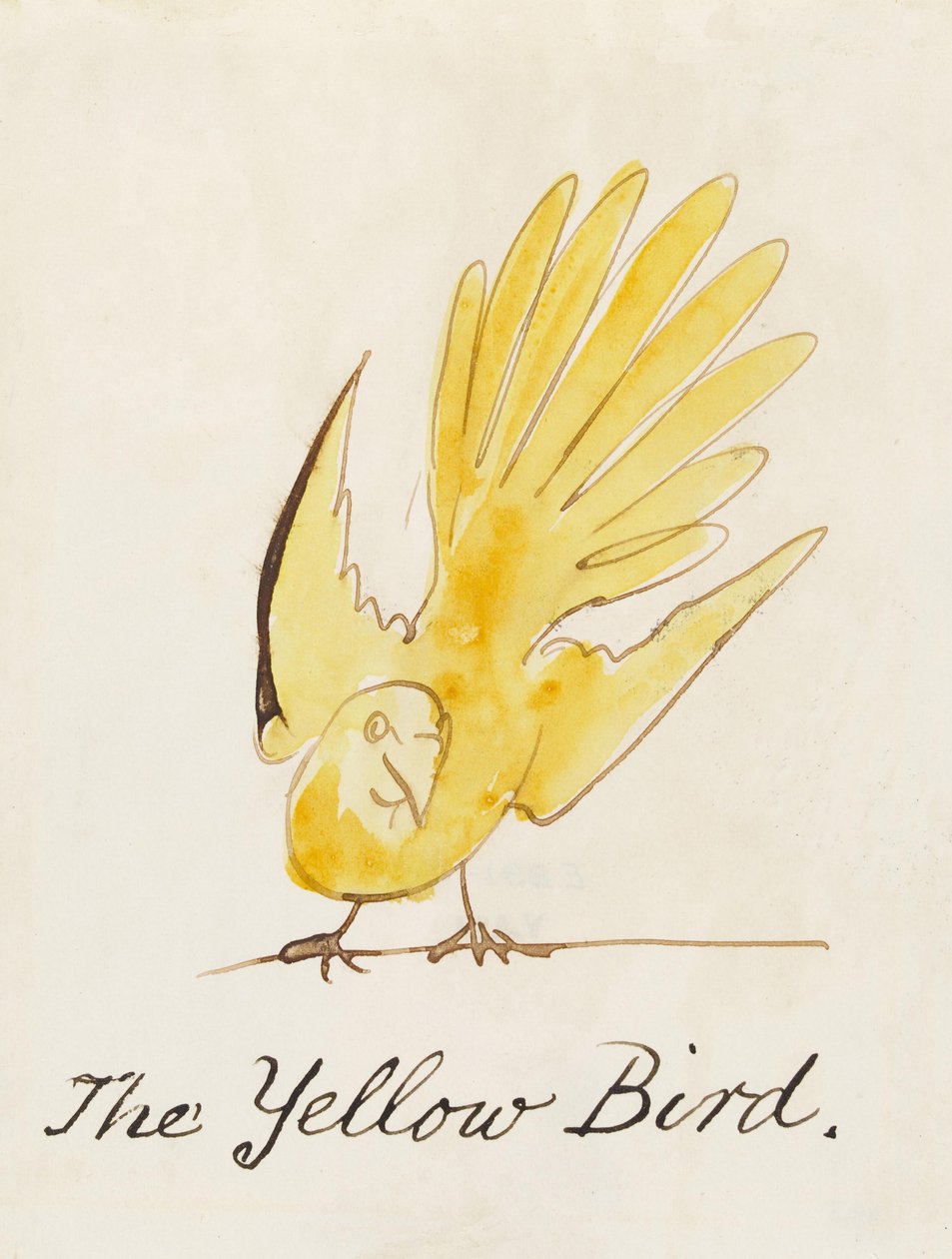 Żółty ptak, z „szesnastu rysunków komiksowych ptaków” autorstwa Edward Lear