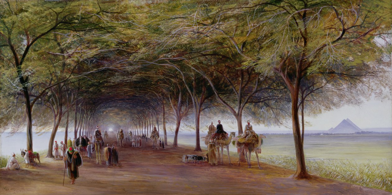 Widok drogi piramid, Giza autorstwa Edward Lear