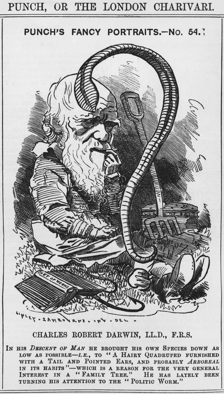 Karol Darwin, fantazyjne portrety Puncha, nr 54, ilustracja z „Puncha” lub „Londyńskiego Charivari” autorstwa Edward Linley (after) Sambourne