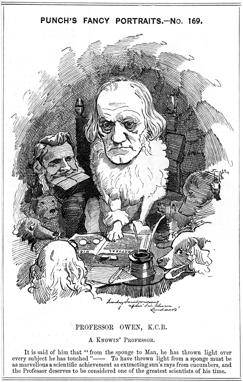 Richard Owen, angielski zoolog, 1884 autorstwa Edward Linley Sambourne