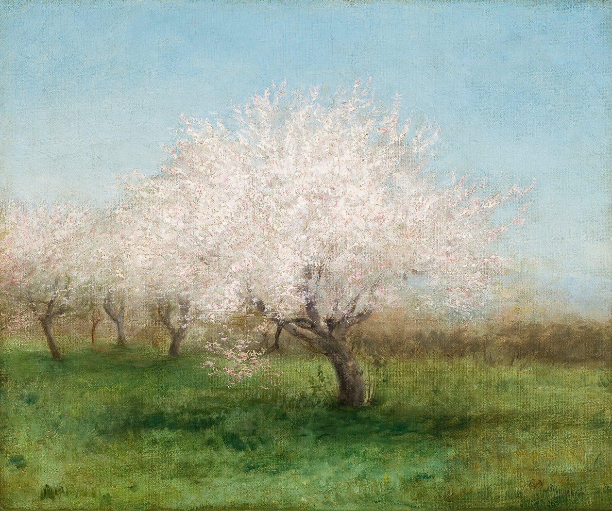 Jabłonie na łące 1890 (olej na płótnie) autorstwa Edward Mitchell Bannister