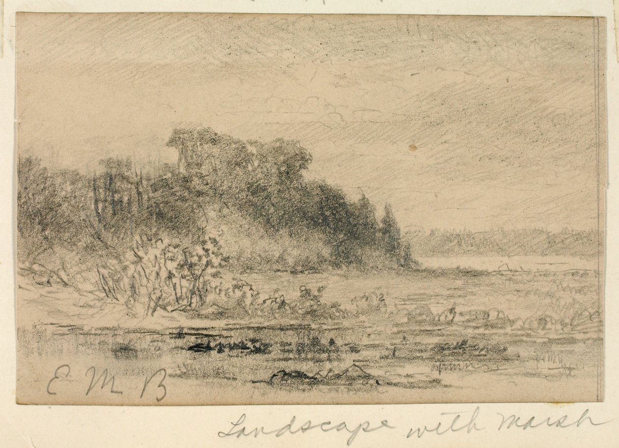 Krajobraz z bagnami autorstwa Edward Mitchell Bannister