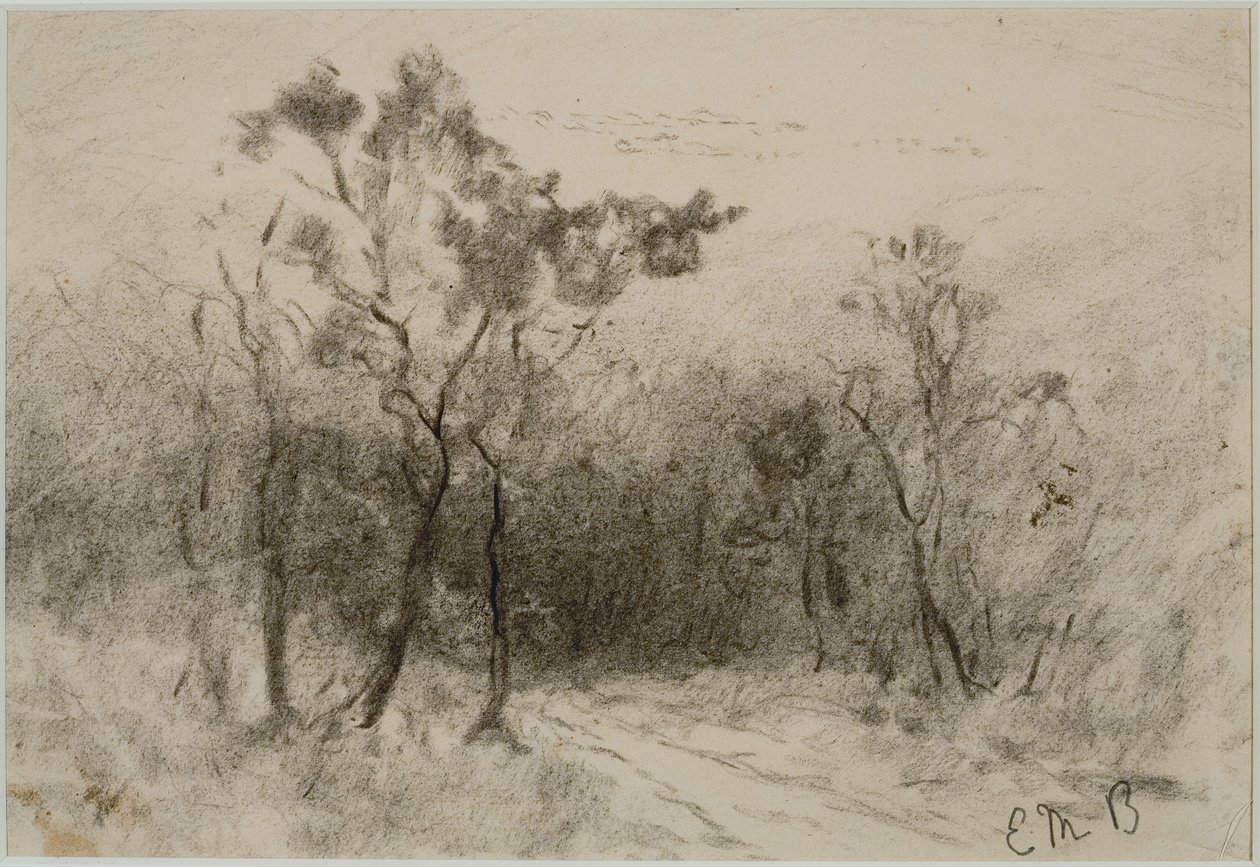Krajobraz ze ścieżką (nr 51), ok. godz. 1880 (węgiel na papierze) autorstwa Edward Mitchell Bannister