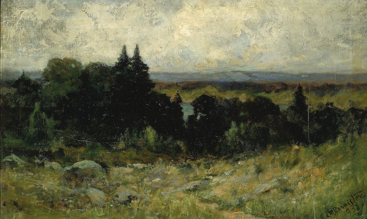 Bez tytułu (krajobraz, pola ze skałami i drzewami) autorstwa Edward Mitchell Bannister