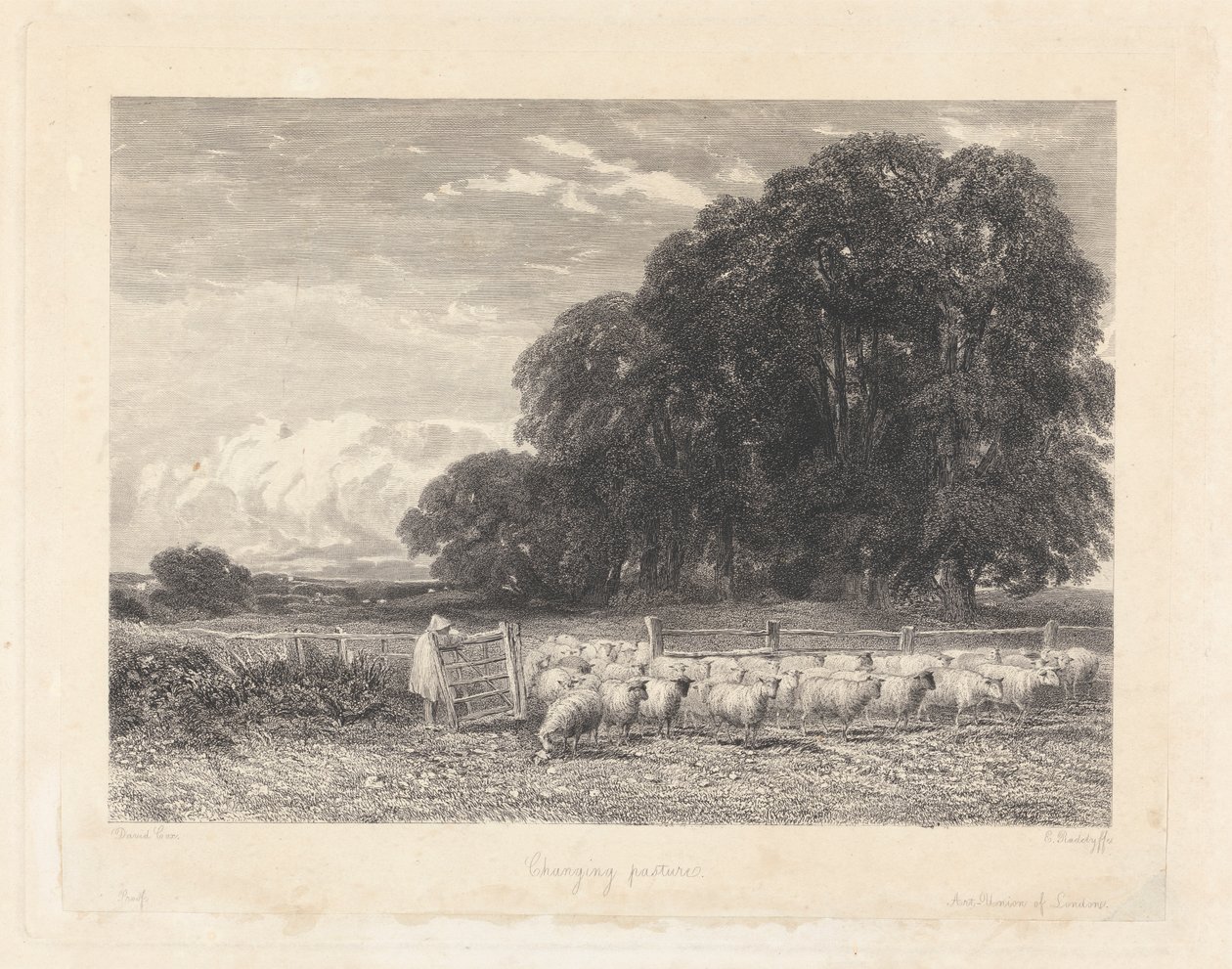 Mudança de Pasto autorstwa Edward Radclyffe
