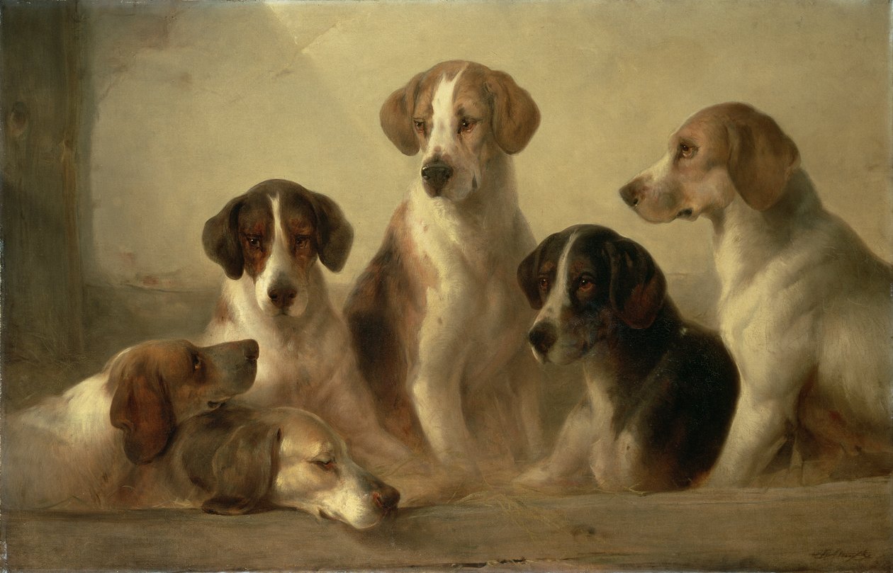 Ogary autorstwa Edward Robert Smythe