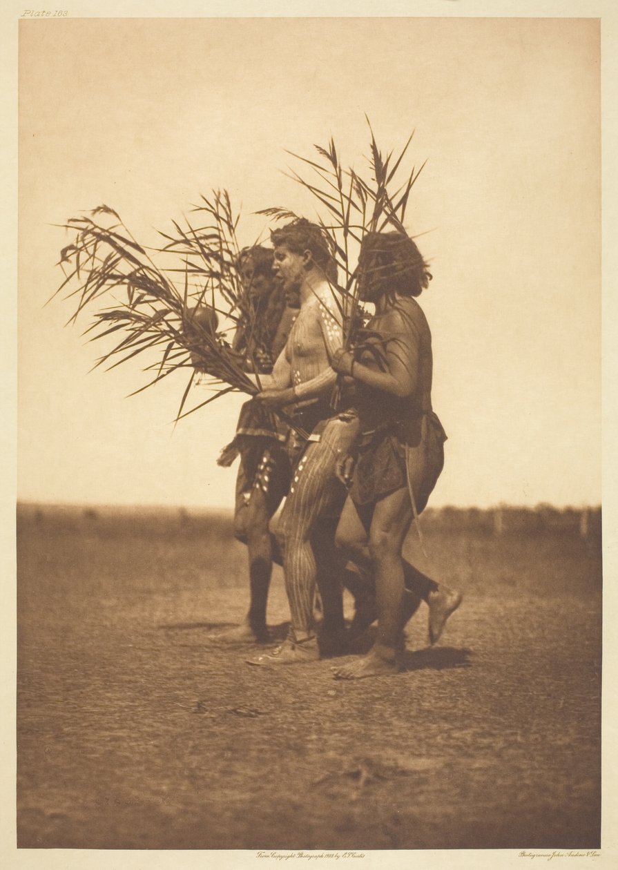Ceremonia medyczna Arikara - kaczki autorstwa Edward S. Curtis