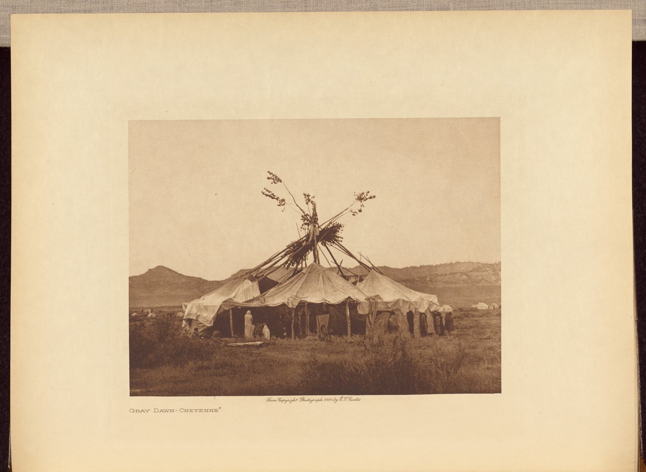 Gray Dawn - Cheyenne autorstwa Edward S. Curtis
