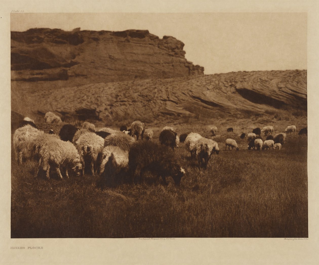[Stada Nawahów] autorstwa Edward S. Curtis