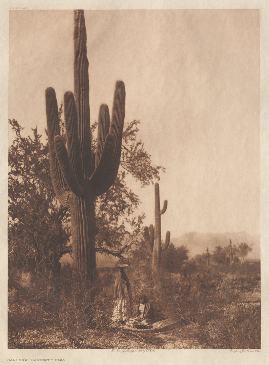 Portfolio II, plansze 40-75 autorstwa Edward S. Curtis