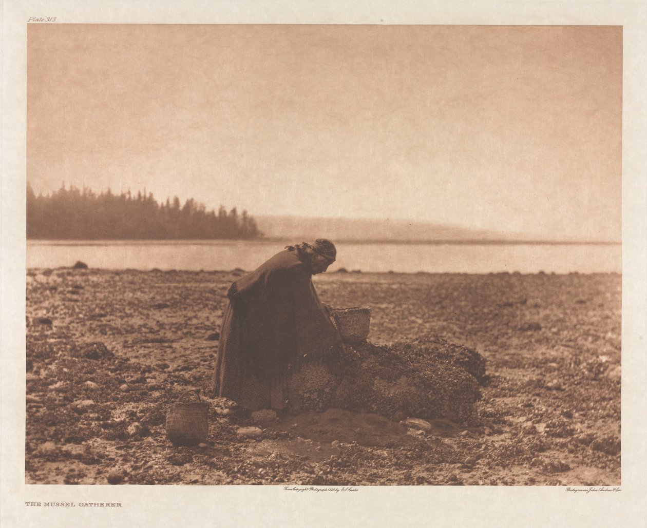 Portfolio IX, ilustracja 313: Zbieracz małży autorstwa Edward S. Curtis